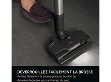 Charger l'image dans la galerie, alt1