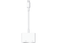 Charger l'image dans la galerie, alt1