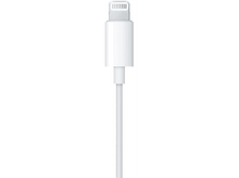 Charger l'image dans la galerie, alt1