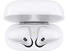 Charger l'image dans la galerie, alt1