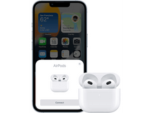 Charger l'image dans la galerie, alt1