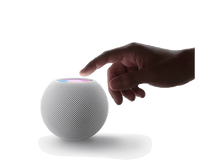 Charger l'image dans la galerie, alt1