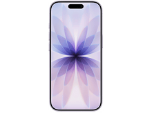 Charger l'image dans la galerie, alt1