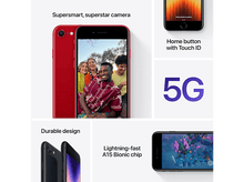 Charger l'image dans la galerie, alt1