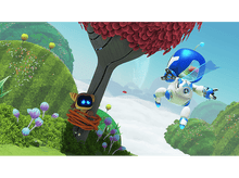 Charger l'image dans la galerie, alt1