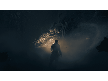 Charger l'image dans la galerie, alt1