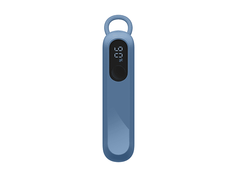 alt1