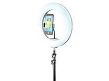 Charger l'image dans la galerie, alt1