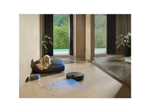 Charger l'image dans la galerie, alt1