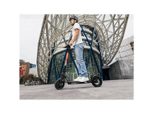 Charger l'image dans la galerie, alt1