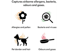 Charger l'image dans la galerie, alt1