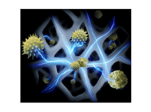 Charger l'image dans la galerie, alt1