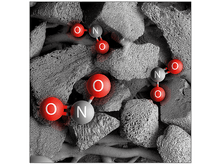 Charger l'image dans la galerie, alt1