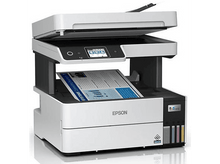 Charger l'image dans la galerie, alt1