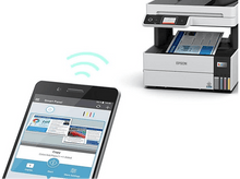 Charger l'image dans la galerie, alt1