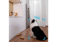 Charger l'image dans la galerie, EUFY Caméra de surveillance Smart P24 2K (T8410322)