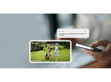 Charger l'image dans la galerie, alt1