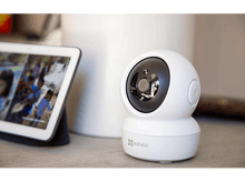 Charger l'image dans la galerie, alt1