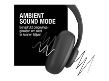 Charger l'image dans la galerie, alt1