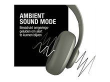 Charger l'image dans la galerie, alt1