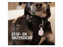 Charger l'image dans la galerie, alt1