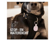 Charger l'image dans la galerie, alt1