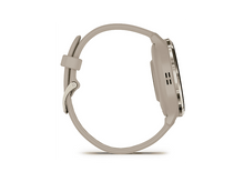 Charger l'image dans la galerie, alt1