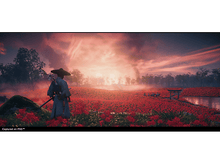 Charger l'image dans la galerie, Une femme passe l'aspirateur sur un tapis et un sol en bois avec un aspirateur rouge et gris.