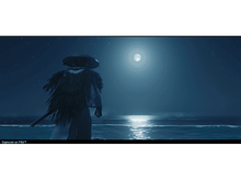 Charger l'image dans la galerie, Une personne coiffée d'un chapeau se tient sur un rocher, regardant une pleine lune au-dessus de l'océan.