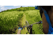 Charger l'image dans la galerie, alt1