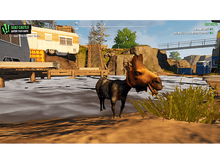 Charger l'image dans la galerie, alt1