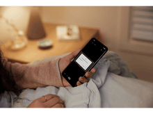 Charger l'image dans la galerie, alt1