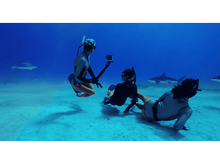 Charger l'image dans la galerie, Plongeurs dans l'eau avec des requins, filmant avec une caméra.