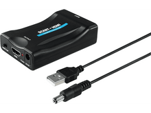 Charger l'image dans la galerie, alt1