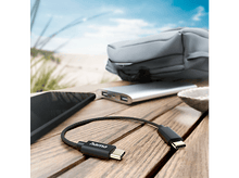 Charger l'image dans la galerie, alt1