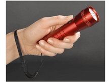 Charger l'image dans la galerie, alt1