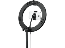 Charger l'image dans la galerie, alt1