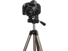 Charger l'image dans la galerie, alt1