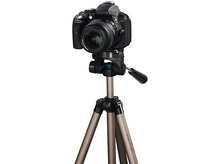 Charger l'image dans la galerie, alt1