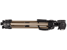 Charger l'image dans la galerie, alt1