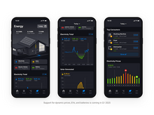 Charger l'image dans la galerie, alt1