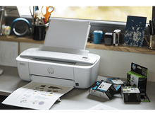 Charger l'image dans la galerie, alt1