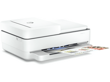 Charger l'image dans la galerie, alt1