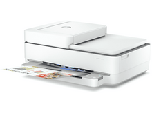 Charger l'image dans la galerie, alt1