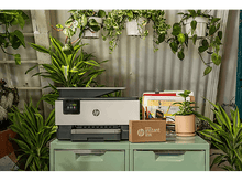 Charger l'image dans la galerie, alt1