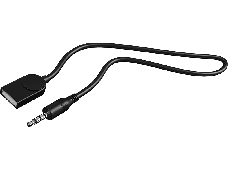 alt1
