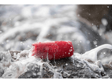 Charger l'image dans la galerie, alt1