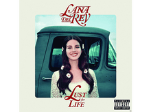 Charger l'image dans la galerie, alt1