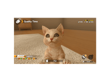 Charger l'image dans la galerie, alt1