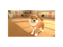 Charger l'image dans la galerie, alt1